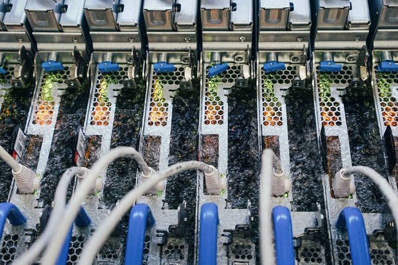 Künstliche Intelligenz und tiefes Lernen